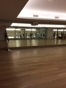 I joined Equinox and during non peak hours it's so nice! I have the whole group fitness classroom to myself. I blast Taylor Swift and work on lunges, squats, and abs.